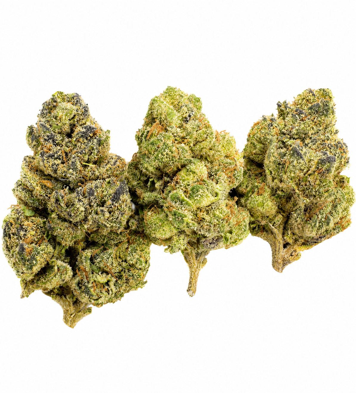 Blue OG Indica THCA Flower