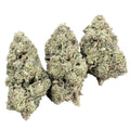Key Lime Jack Sativa THCA Flower